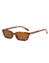 Brýle - kód GLA92038 - 3 - leopardi